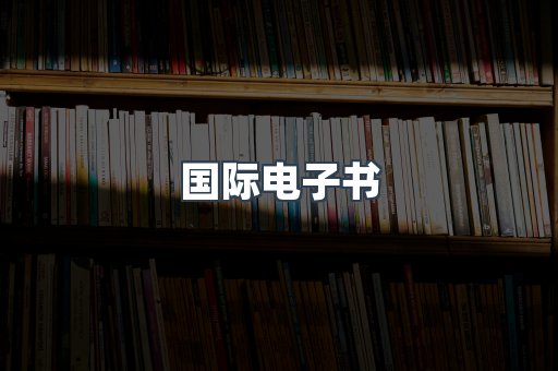 国际电子书