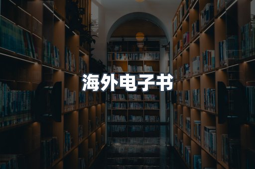 海外电子书